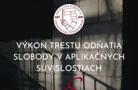 Výkon trestu odňatia slobody v aplikačných súvislostiach