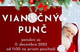 Vianočný punč